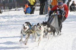 Lenk 2012 SM